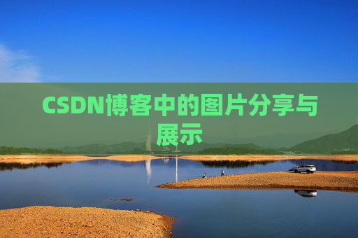 CSDN博客中的图片分享与展示